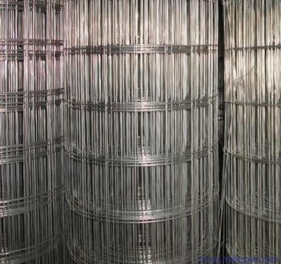 荷蘭網與金屬板網 專業生產與低價批發指南