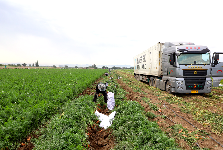 有他們幫忙，三坪農場農產品不愁賣！