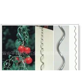 電焊網 打造堅固耐用的番茄植物支架