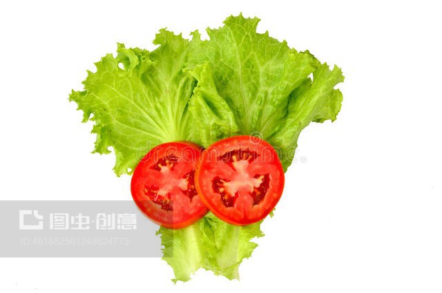 生菜配番茄架 現代農業的創意組合與高效種植