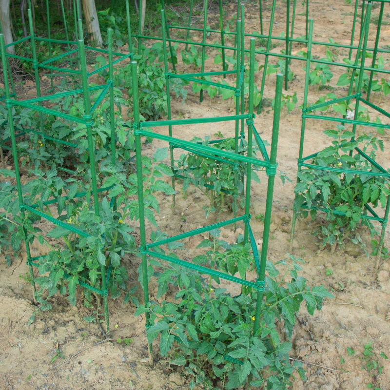 為豐收護航 定制金屬包塑番茄架，打造耐候耐銹的種植好幫手