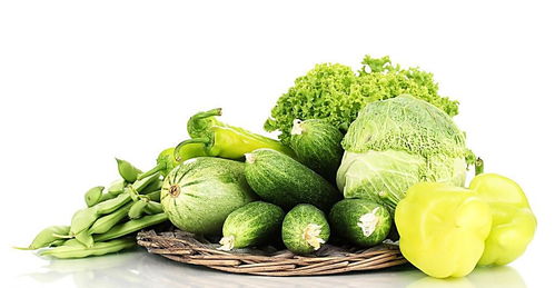 茴香氣泡清洗機(jī)與苗木產(chǎn)品報(bào)價(jià)分析