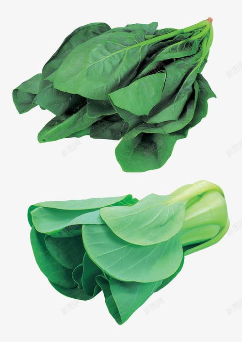 綠色蔬菜高清素材 打造自然清新的電商設(shè)計與平面創(chuàng)意