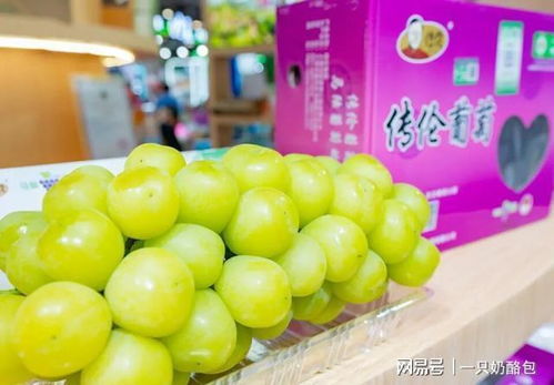 滬產(chǎn)優(yōu)品產(chǎn)銷會放異彩 四款明星苗木農(nóng)產(chǎn)品憑啥出圈