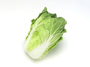 虎門酒店蔬菜配送與內(nèi)陸水產(chǎn)養(yǎng)殖銷售——專業(yè)周到的食材供應(yīng)解決方案