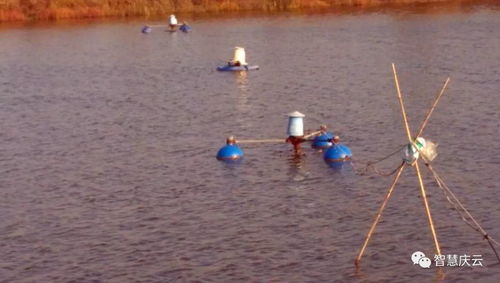 慶云海天水產(chǎn)養(yǎng)殖榮膺省級(jí)健康示范場(chǎng)，探索內(nèi)陸水產(chǎn)養(yǎng)殖與銷售新路徑